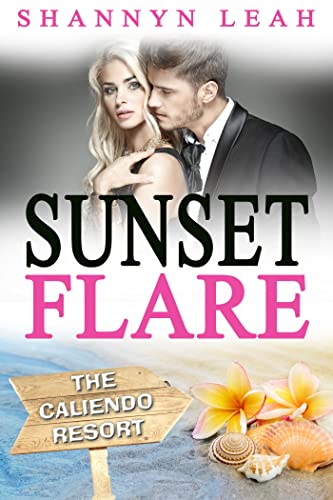 Sunset Flare book cover