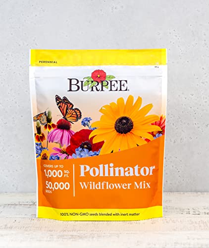 Burpee Wildflower 25,000 Non-GMO Pollinator Flower Seed Mix $2.87-$3.02