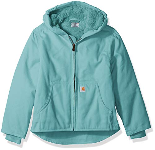 large carhartt jacket