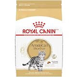 Royal Canin Feline Breed Nutrition American Shorthair Adult Dry Cat Food, 5.5 lb Bag