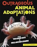 Outrageous Animal Adaptations From Bigeared Bats To Frillnecked Lizards