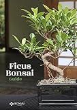 Ficus Bonsai Guide English Edition