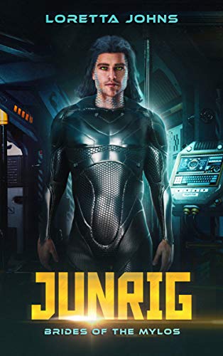 Junrig book cover