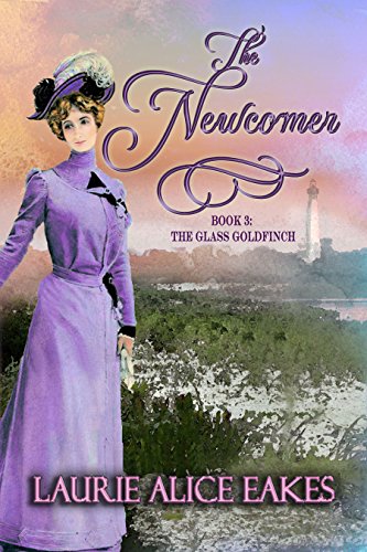 The Newcomer book cover