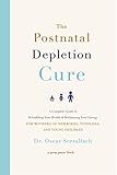 The Postnatal Depletion Cure English Edition