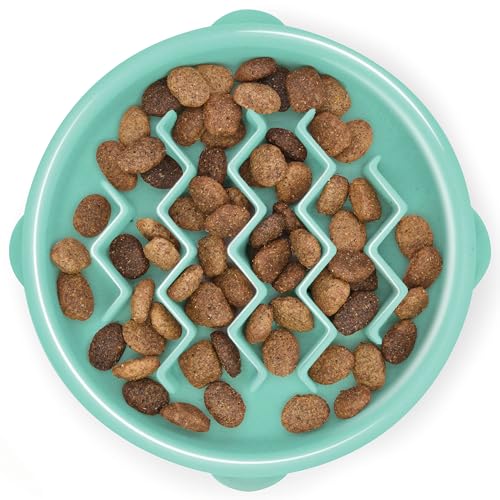 Outward Hound Fun Feeder Slo Bowl (Small, 3/4-Cup)