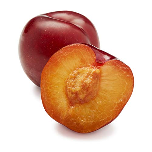 Red Plum