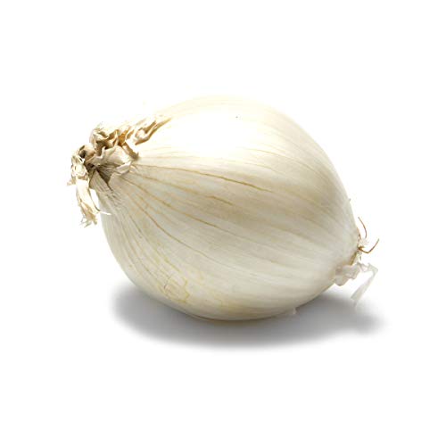 Organic White Onion, 1 Each