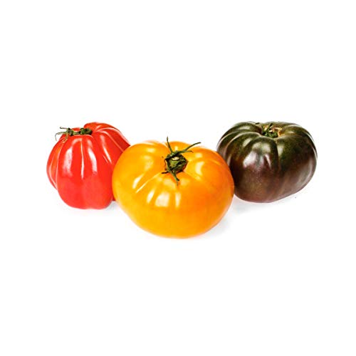 Heirloom Tomato