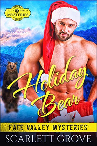 Holiday Bear book cover