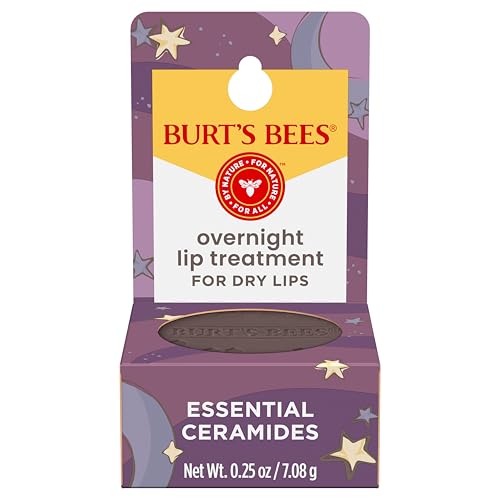Burt's Bees 100% Natural Overnight Intensive Lip Treatment