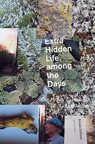 Extra Hidden Life, among the Days book cover