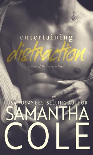 Entertaining Distraction book cover