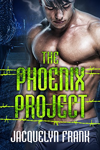 The Phoenix Project book cover