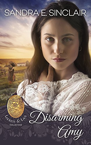 Disarming Amy (By: Sandra E. Sinclair) cover