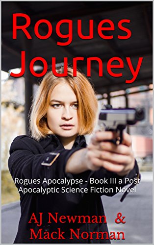 Rogues Journey book cover