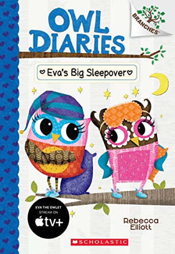 Eva's Big Sleepover book cover