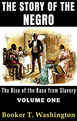 The Story of the Negro cover