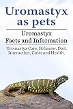 Uromastyx Pets Uromastyx Behavior Interaction Diet Health Care And Costs Uromastyx Information English Edition