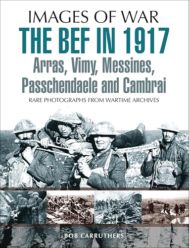 The BEF in 1917: Arras, Vimy, Messines, Passchendaele and Cambrai book cover