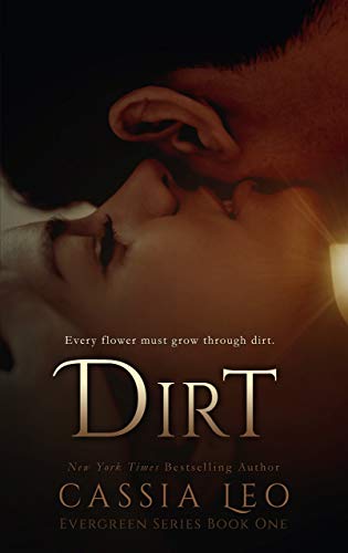 Dirt book cover