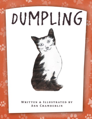 Dumpling book cover