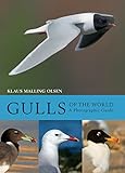 Gulls Of The World A Photographic Guide English Edition