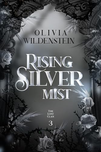 Rising Silver Mist book cover