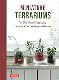Miniature Terrariums Tiny Glass Container Gardens Using Easytogrow Plants And Inexpensive Glassware English Edition