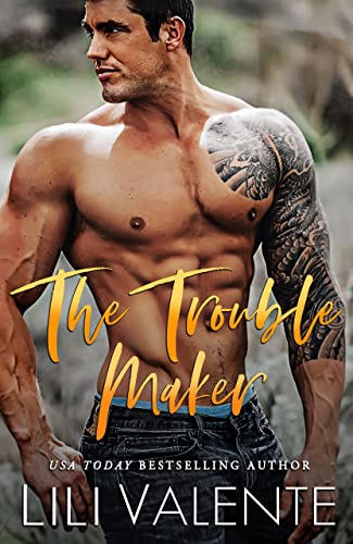 The Troublemaker book cover