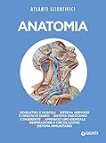Anatomia Italian Edition