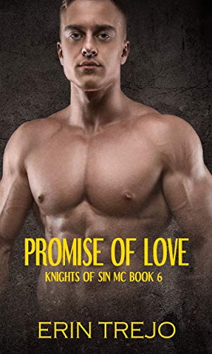 Promise of Love book cover