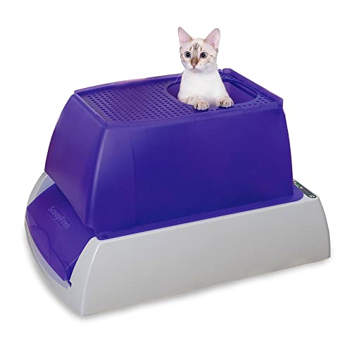 cat litter automatic cleaning