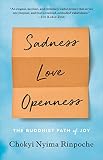 Sadness Love Openness The Buddhist Path Of Joy English Edition