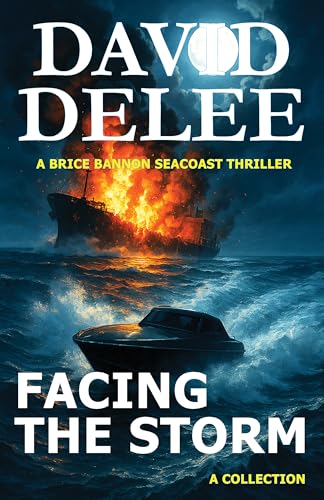 Facing the Storm cover