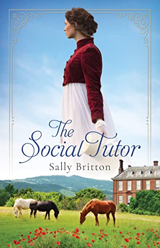 The Social Tutor book cover