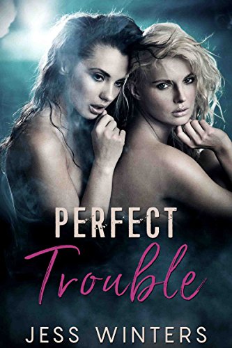 Perfect Trouble book cover
