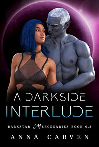 A Darkside Interlude book cover