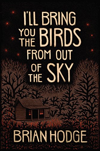 I'll Bring You the Birds From out of the Sky book cover