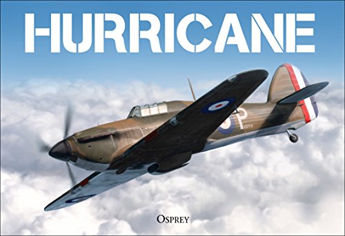 Hurricane book cover