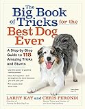 The Big Book Of Tricks For The Best Dog Ever A Stepbystep Guide To 118 Amazing Tricks And Stunts English Edition