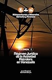 Rgimen Jurdico De La Actividad Petrolera En Venezuela Volumen I Hidrocarburos Y Minerales Derecho Y Finanzas N 1 Spanish Edition