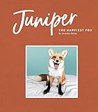 Juniper The Happiest Fox English Edition