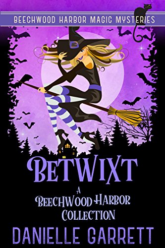 Betwixt book cover