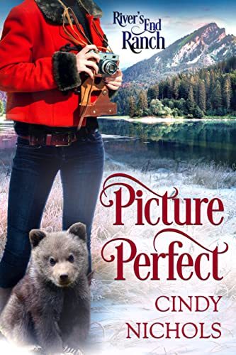 Picture Perfect book cover