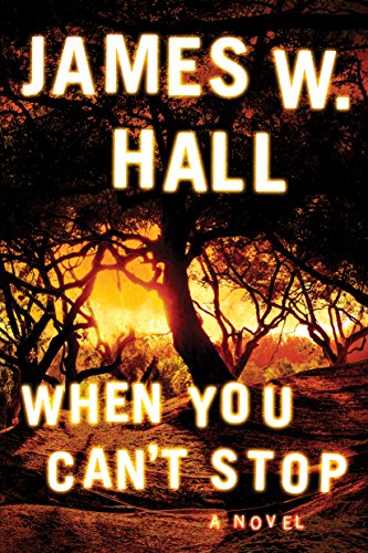 When You Can't Stop book cover