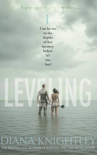 Leveling book cover