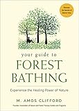 Your Guide To Forest Bathing Experience The Healing Power Of Nature English Edition