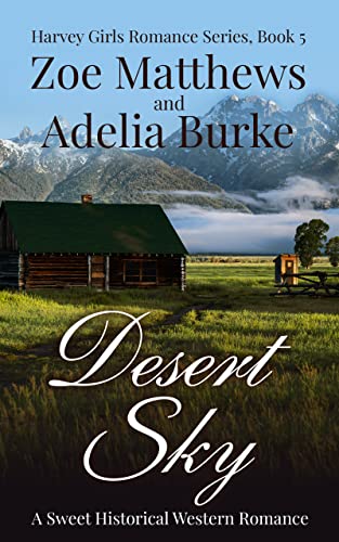 Desert Sky book cover