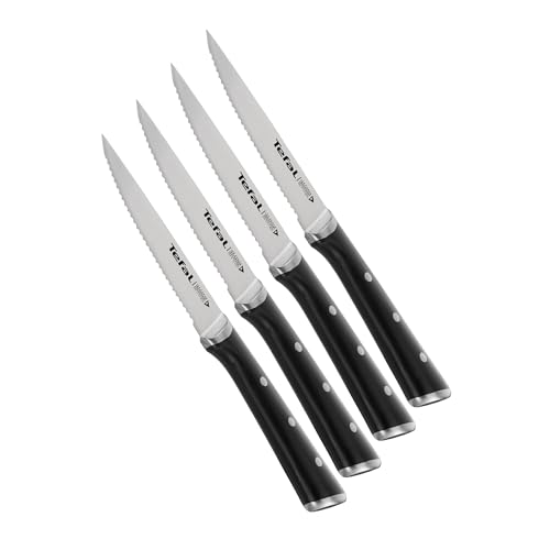 Tefal Ice Force 4-teiliges Steakmesser Set, Spezialmesser mit 11 cm Klinge, langfristige Leistung, Spezielle Klingenfertigung für optimale , Edelstahl